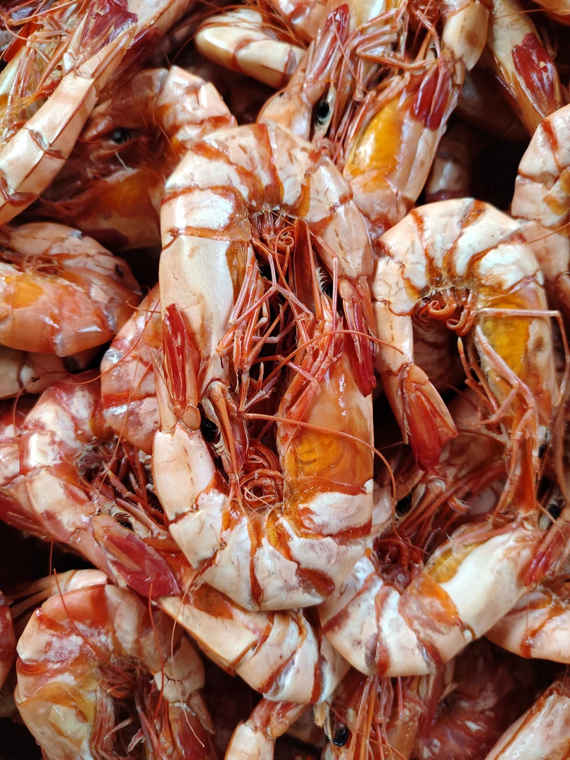 汕尾港深海九节虾15对500g