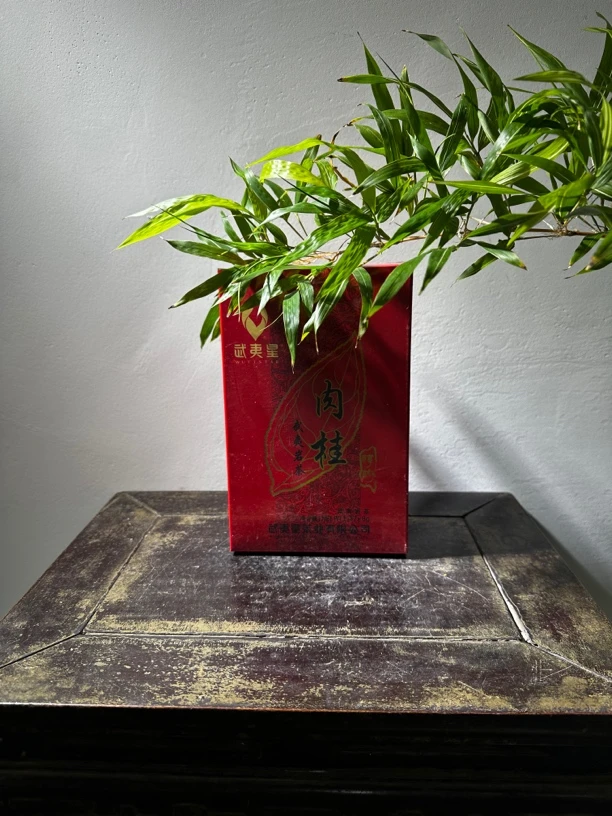 WUYISTAR/武夷星武夷星·武夷岩茶 肉桂