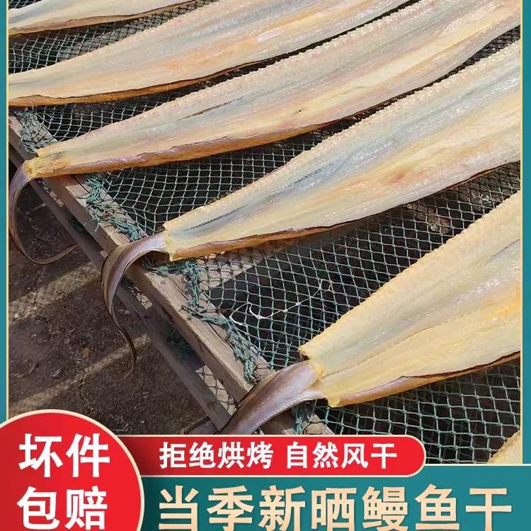 【顺丰】本地海鳗鱼干 大鳗鱼鲞净重5斤鳗鱼干腌制晾晒海鲜鱼干肉质