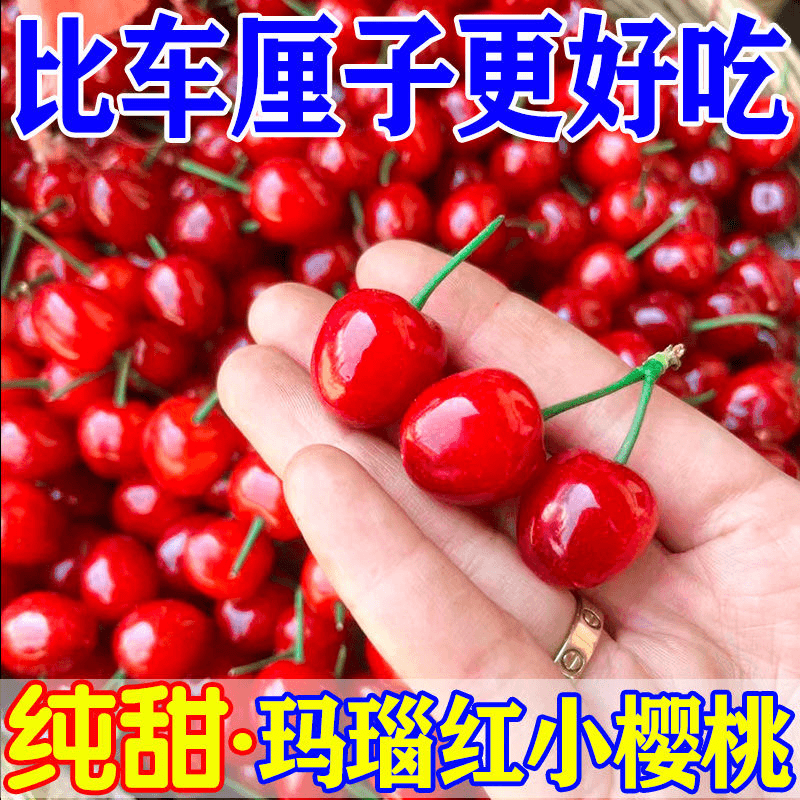 【现摘现发】四川小樱桃新鲜正宗土樱桃现货农家樱桃当季水果2/3斤