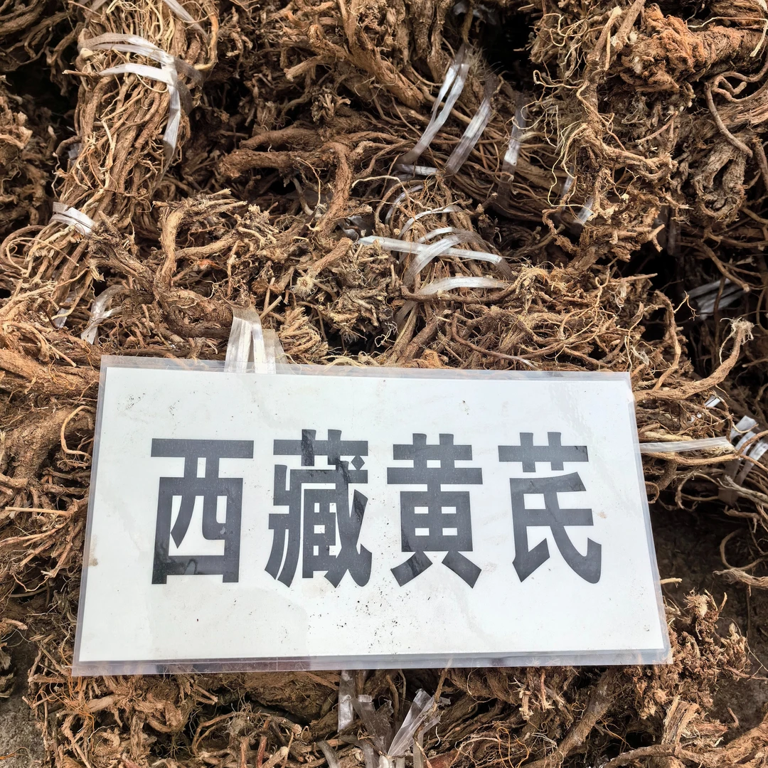 店铺专属西藏农家黄芪泡水/煲汤/泡酒/炖肉共250g