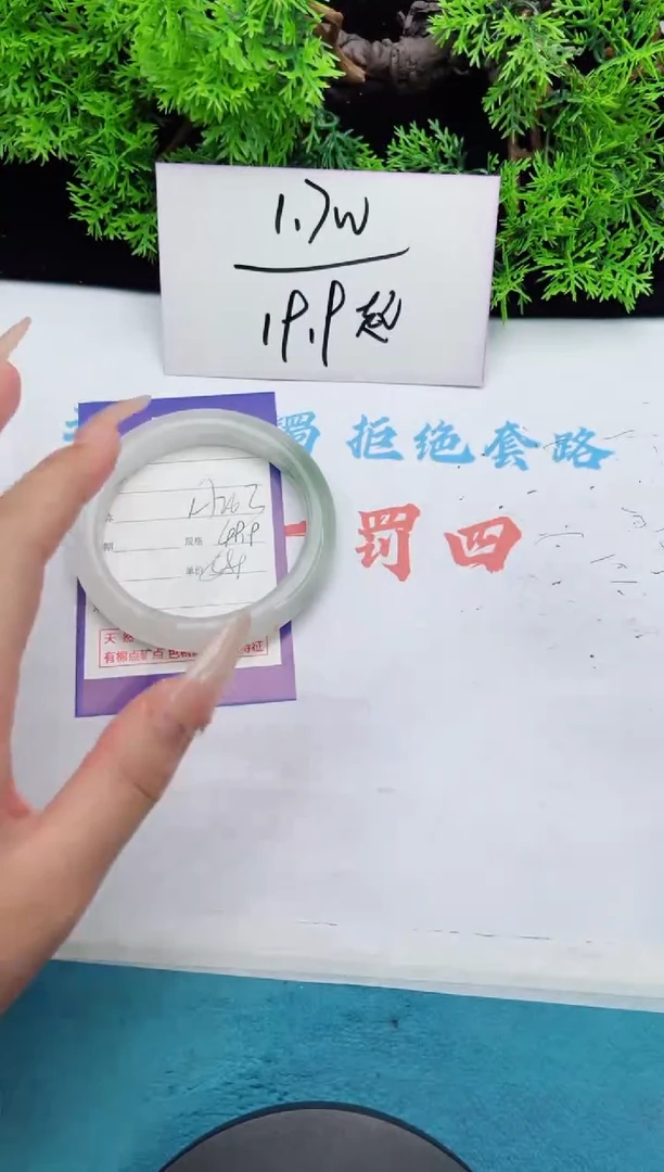 【闪购商品】石英质玉手镯未镶嵌263
