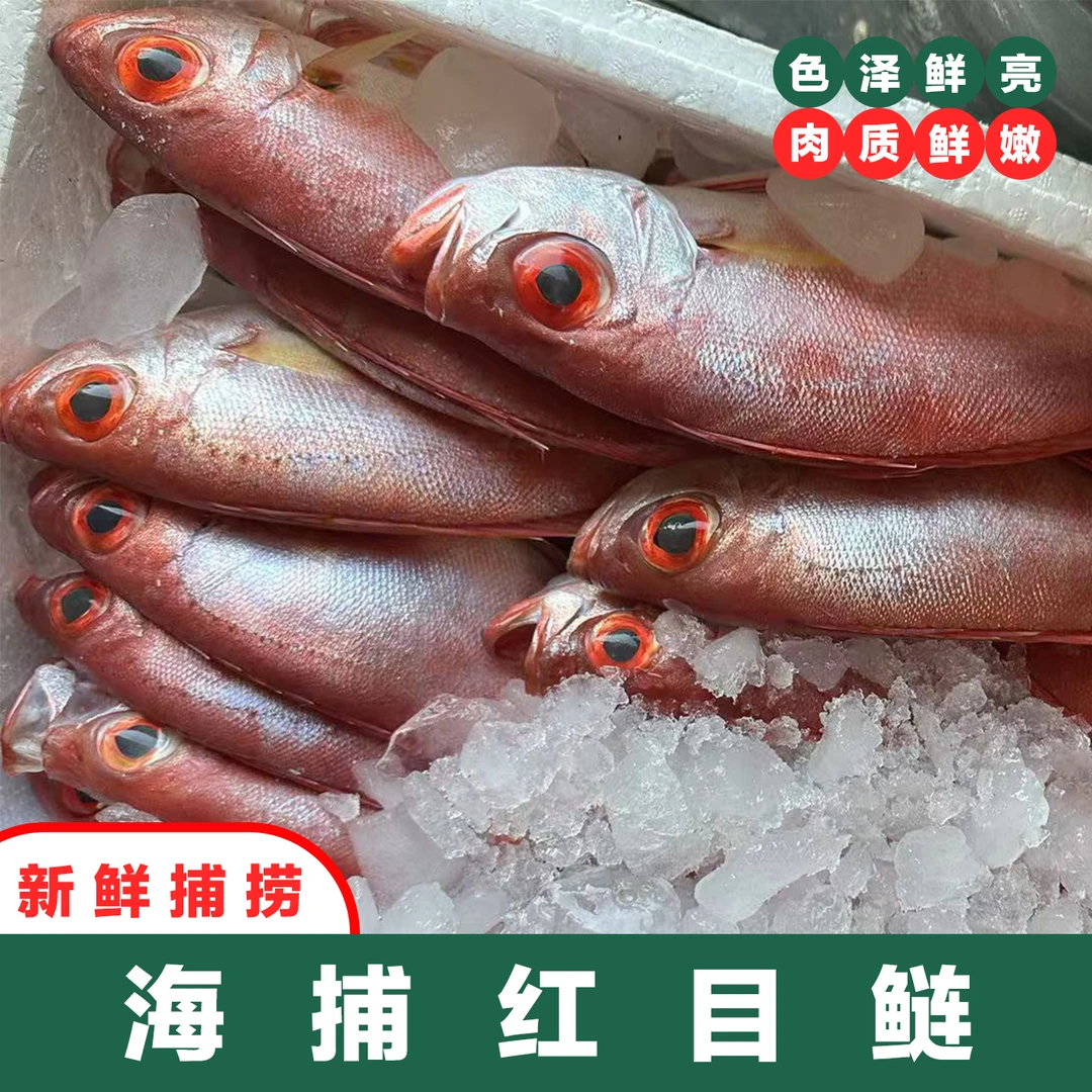 广东汕尾本港海捕纯天然红目鲢纯天然海鱼