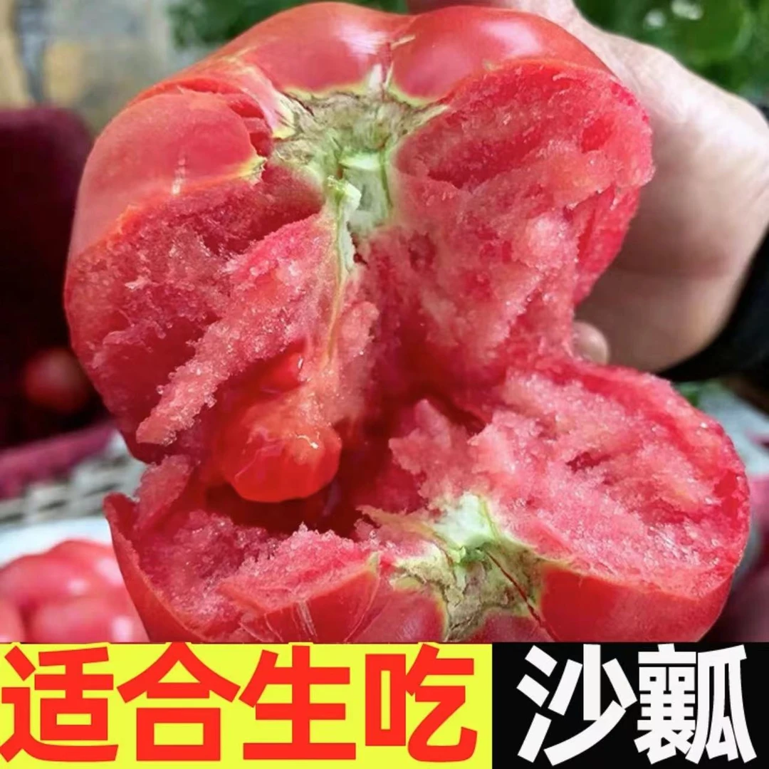 自然熟新鲜西红柿自家小园薄皮柿子东北番茄生吃蔬菜水果T