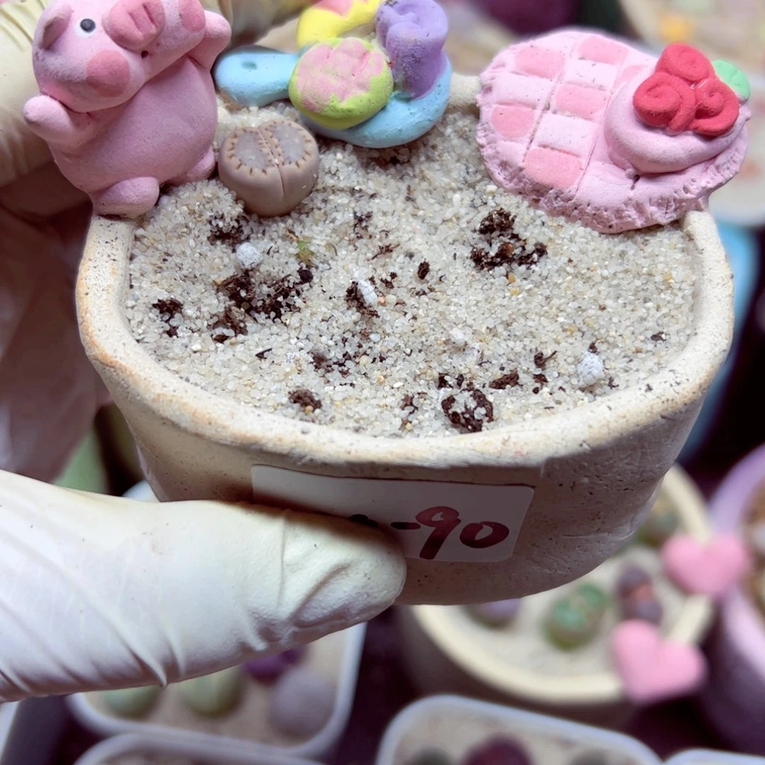 捞****?1024 90单独的盆盆