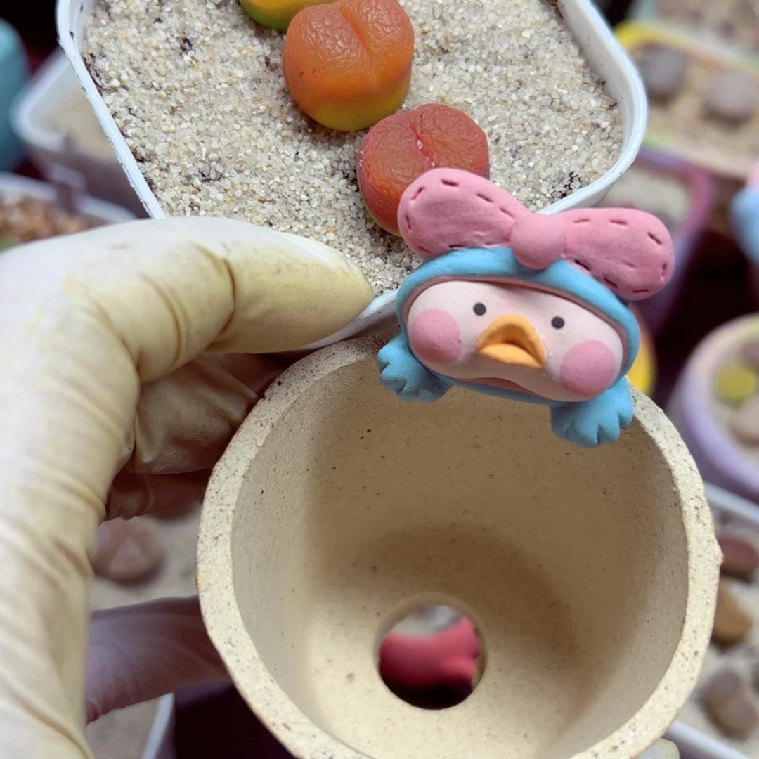 三***?107 27整盆带三个肉肉