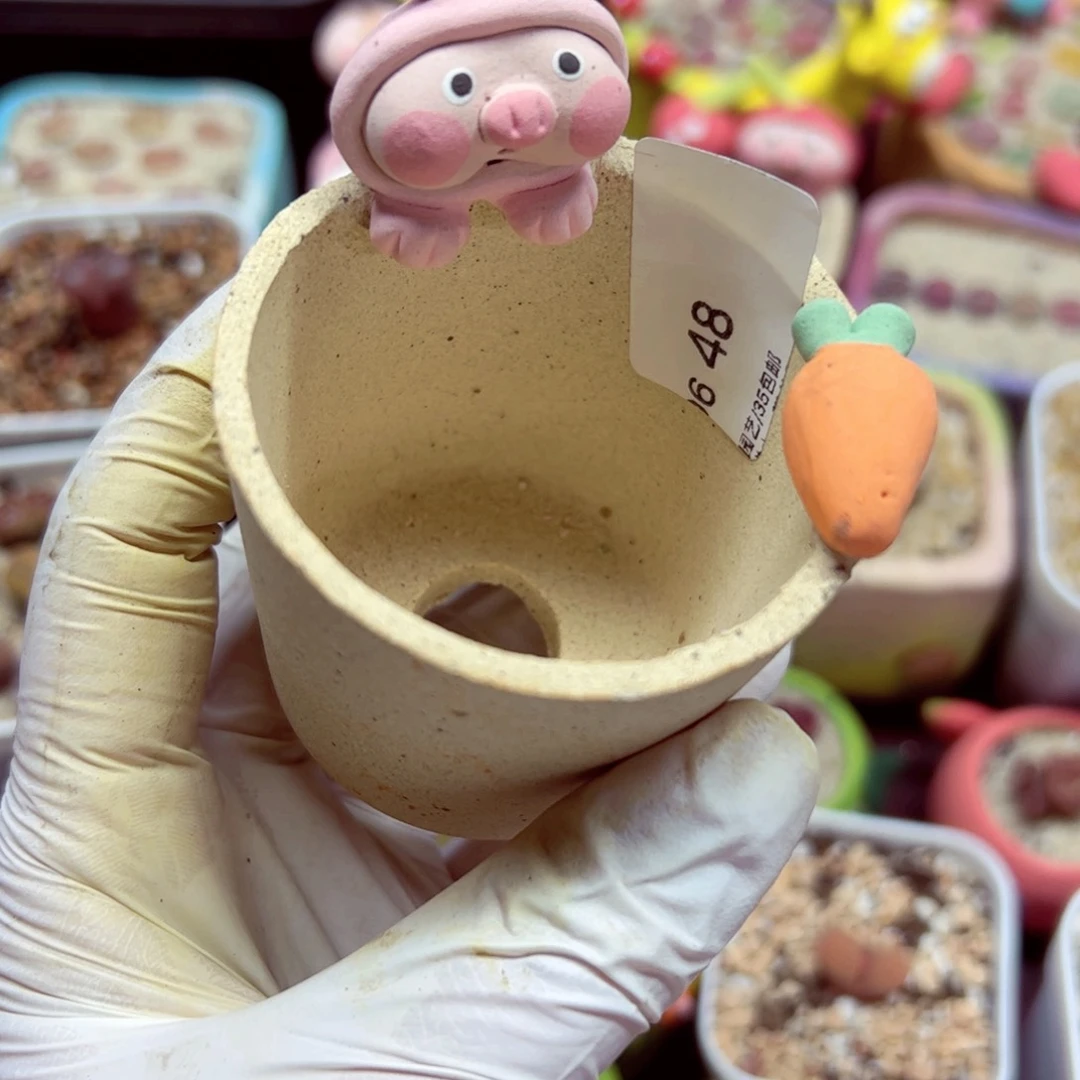 肉****团106 48优秀的盆盆