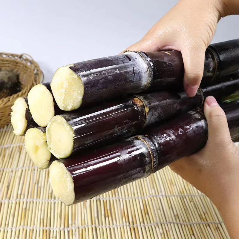 【新人福利】广西正宗农家甘甜黑皮甘蔗3斤装清脆多汁-细小段