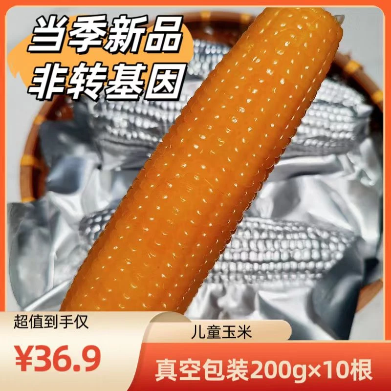 龙江森工（糯9）儿童玉米铝箔黄玉米真空包装单只200X10（4斤左右）
