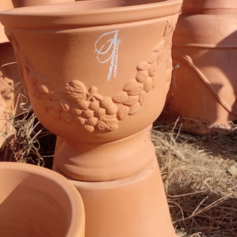 【闪购商品】红陶25.25