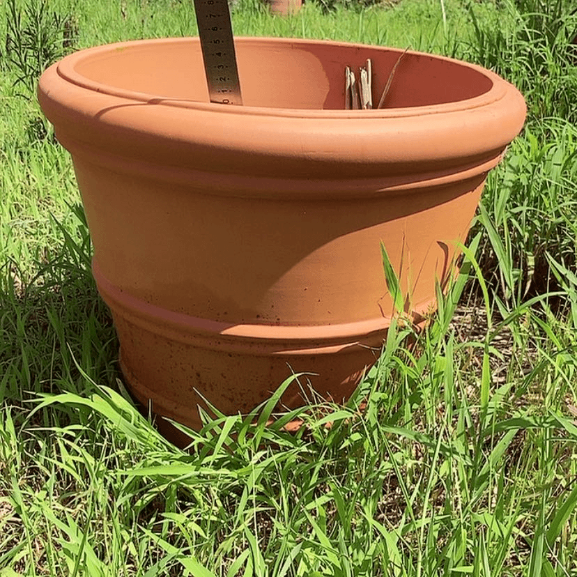 【闪购商品】红陶20CM（含）-50CM（不含）48/40