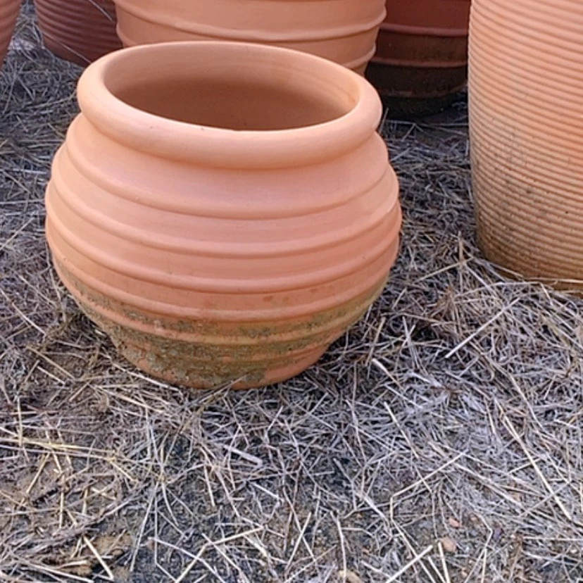 【闪购商品】红陶20CM（含）-50CM（不含）25.25