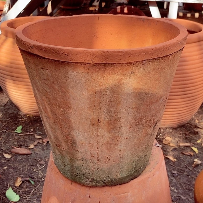 【闪购商品】红陶20CM（含）-50CM（不含）25-22