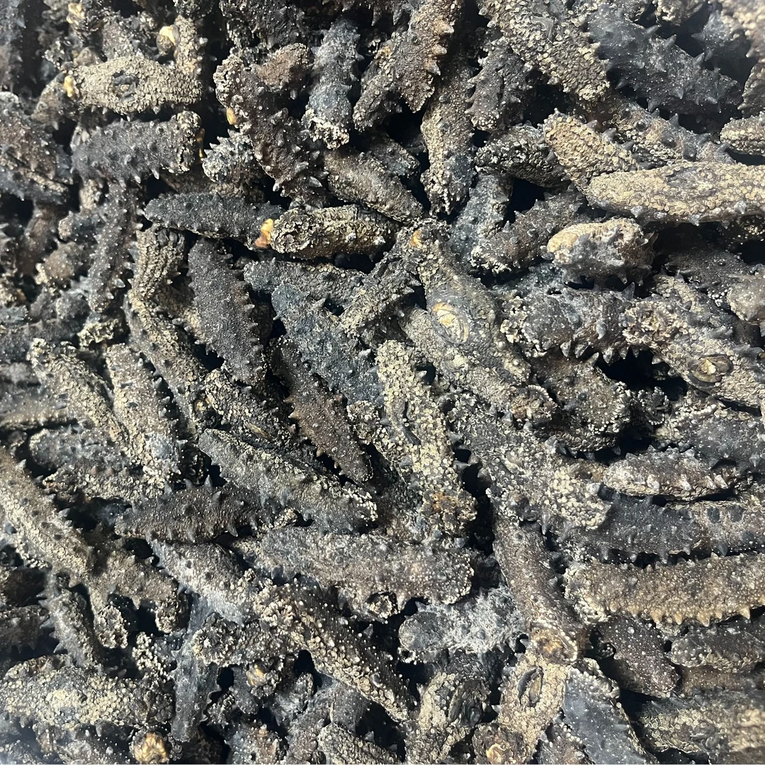 国标纯野生淡干海参80-120头250g~500g