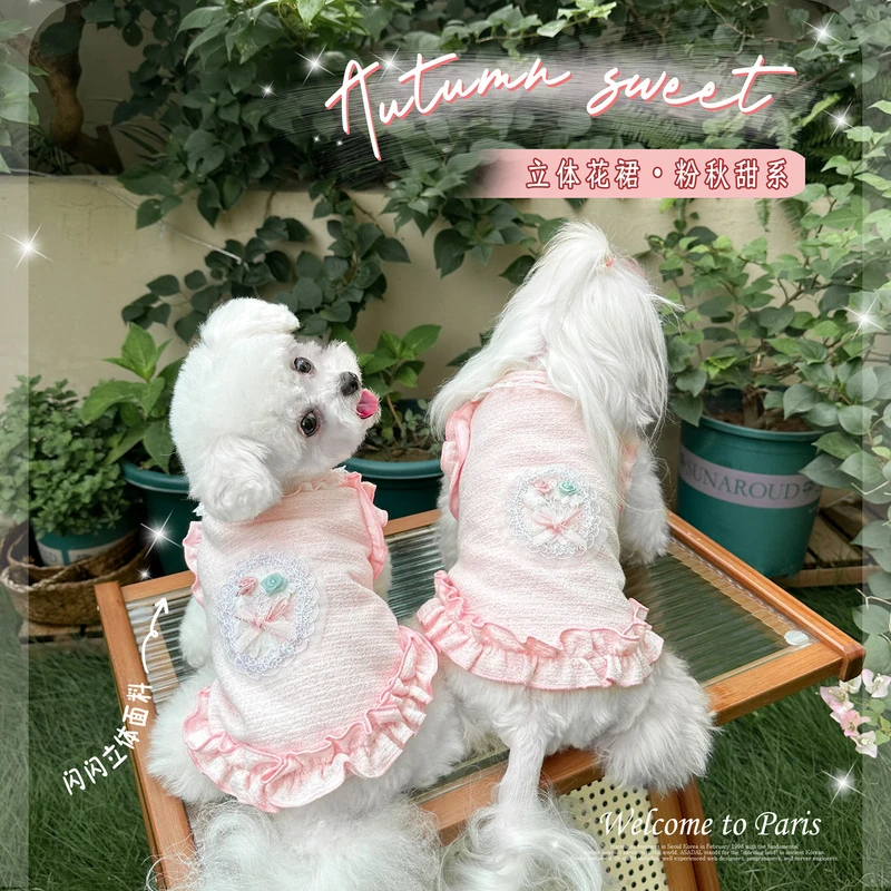 KZ正品 重工荷叶边春秋宠物小型狗狗甜美衣服幼犬比熊博美公主装