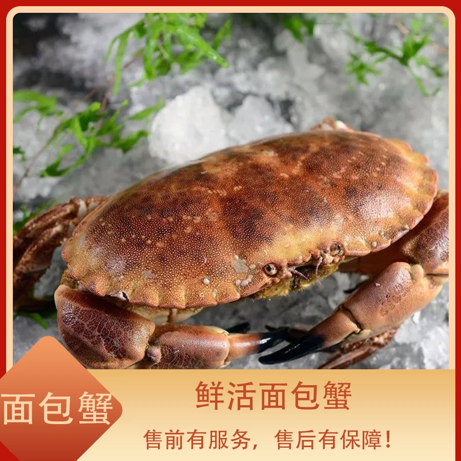 面包蟹 江浙沪皖充氧活发【保鲜不保活】其余省份液氮锁鲜 缺腿