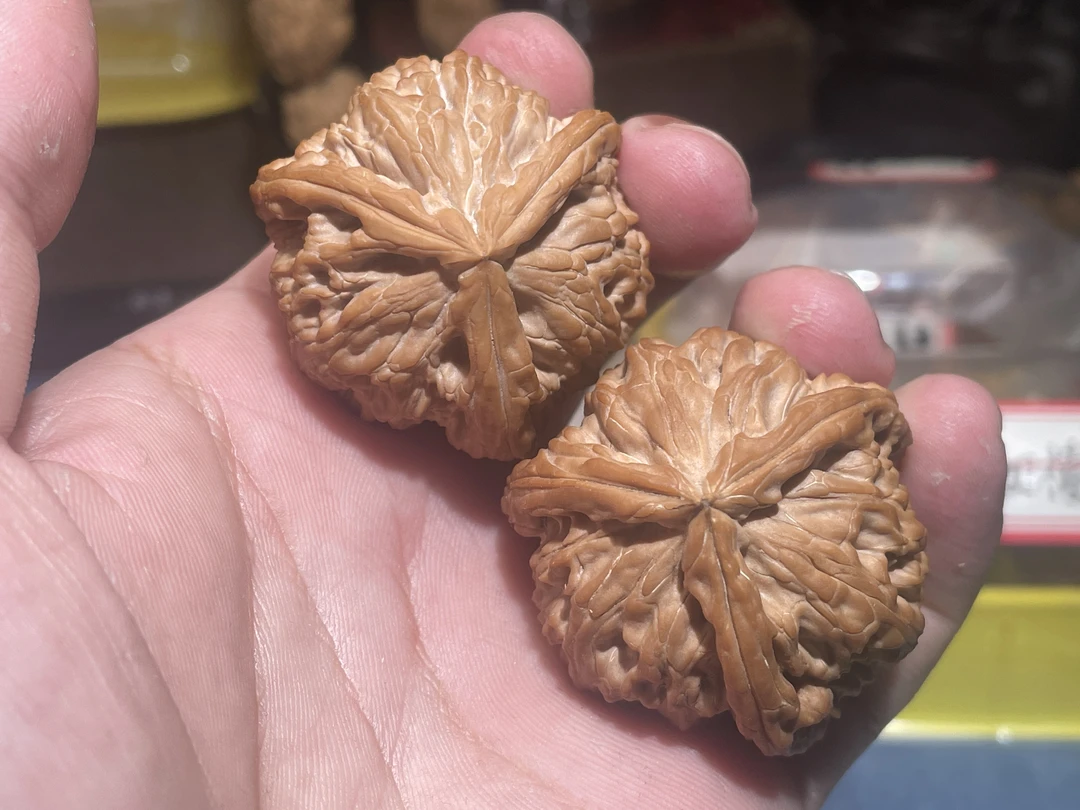 全品白狮子正奔涞水文玩核桃
