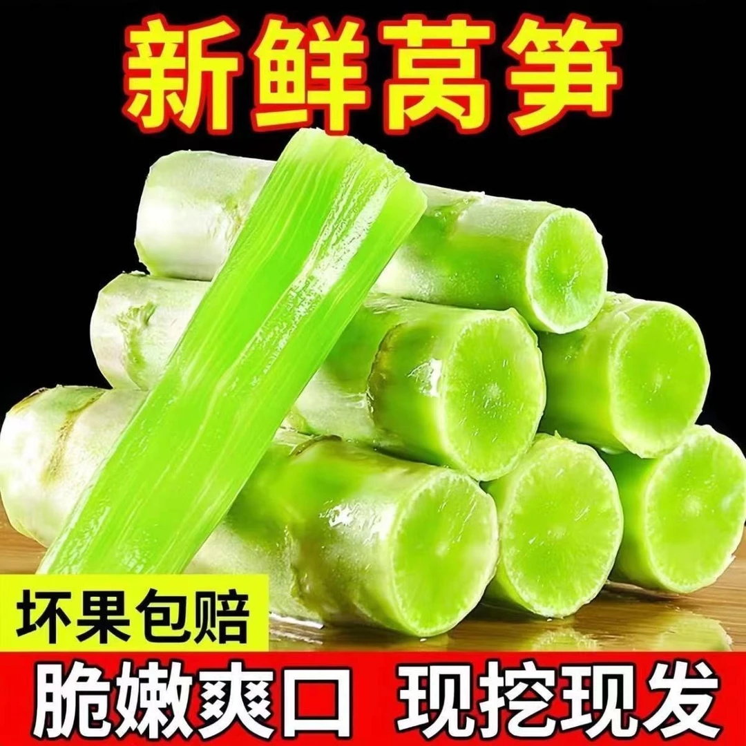 【露天种植】当天现拔新鲜莴笋红叶莴笋新鲜莴笋香笋当季蔬菜3斤5斤
