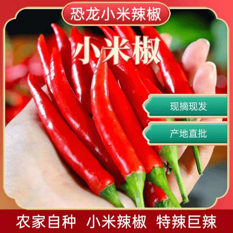 特辣小米椒现摘现发新鲜小米辣椒红辣椒农家露天种植朝天椒指天椒