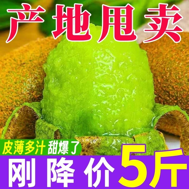 【放软食用】米良1号13.9带箱5斤绿心猕猴桃果园采摘新鲜猕猴桃