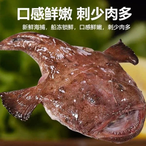 新鲜安康鱼灯笼整条蛤蟆保留鱼肝鱼肚内脏净重11斤（一条大鱼）