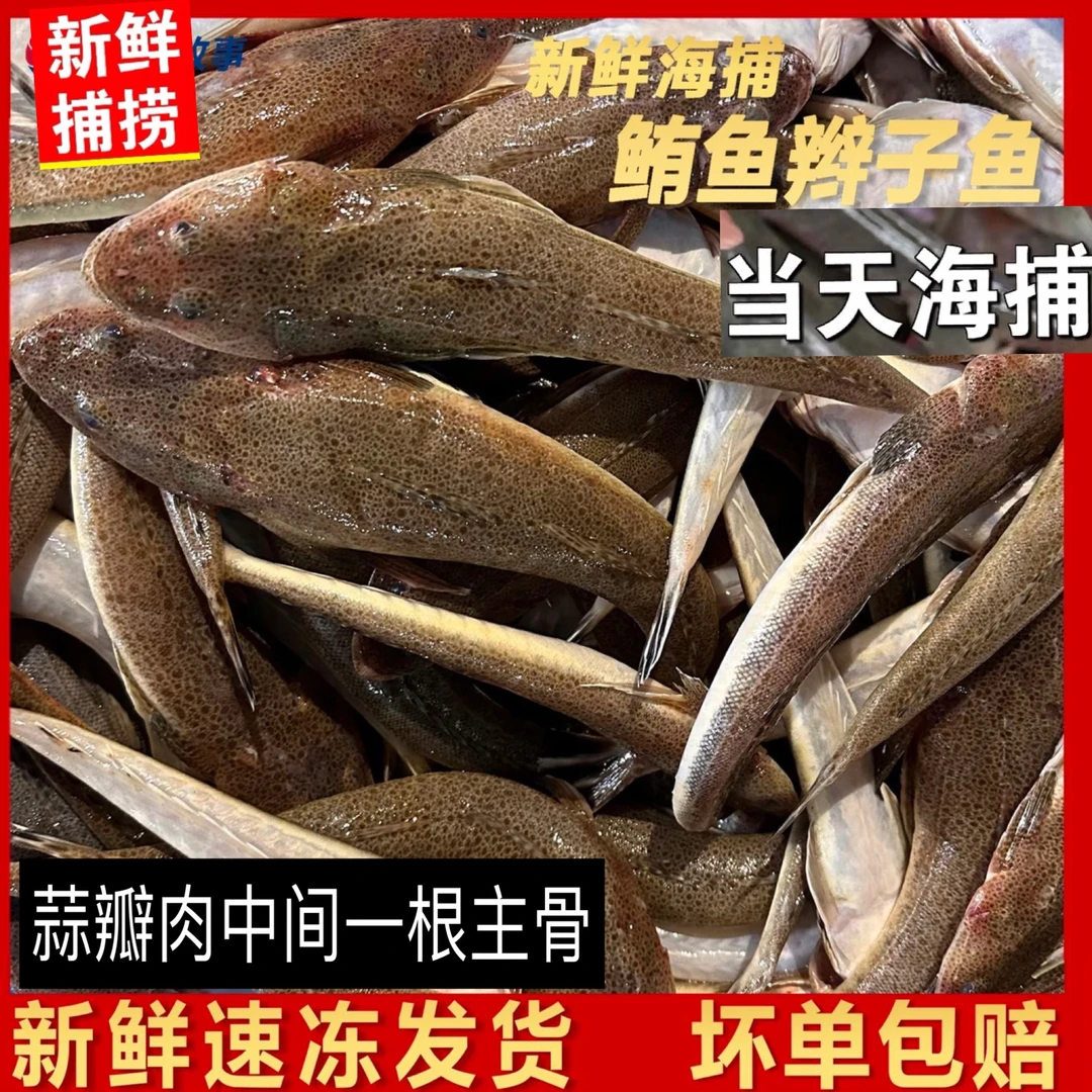 海捕鱼狗腿鱼牛尾鱼蒜瓣肉海鲜水产鱼辫子海鱼鲜活速冻发货