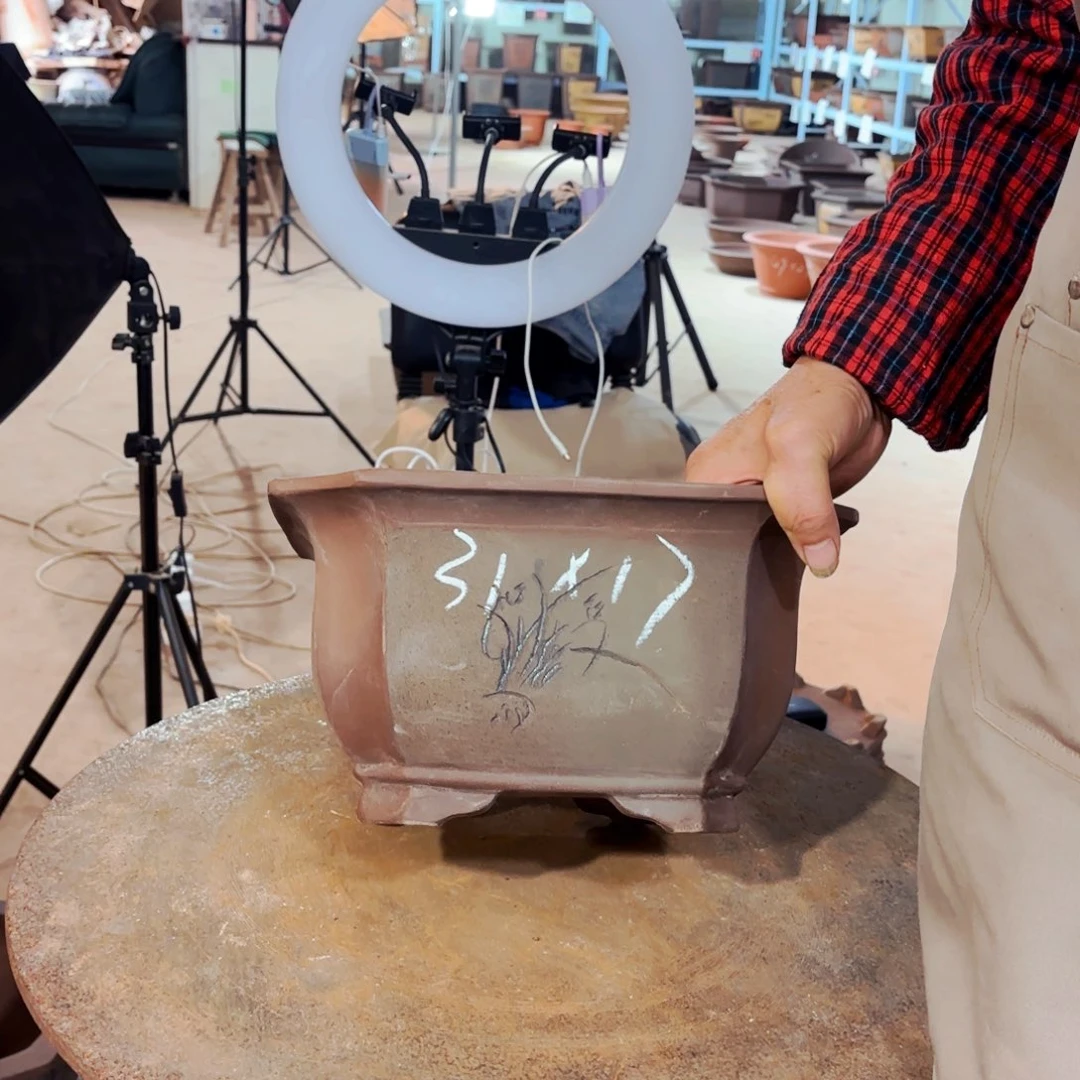 紫砂20CM（含）-50CM（不含）