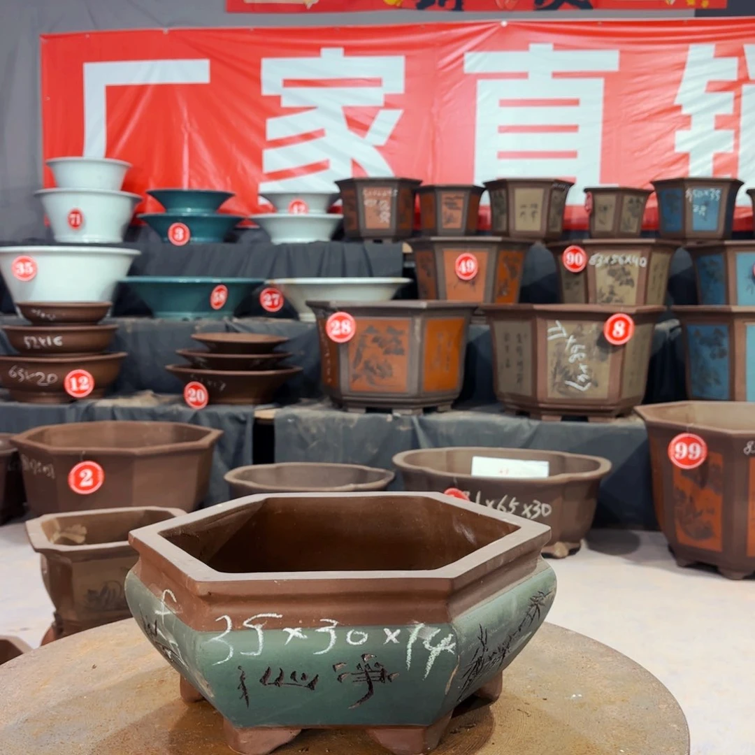 紫砂20CM（含）-50CM（不含）