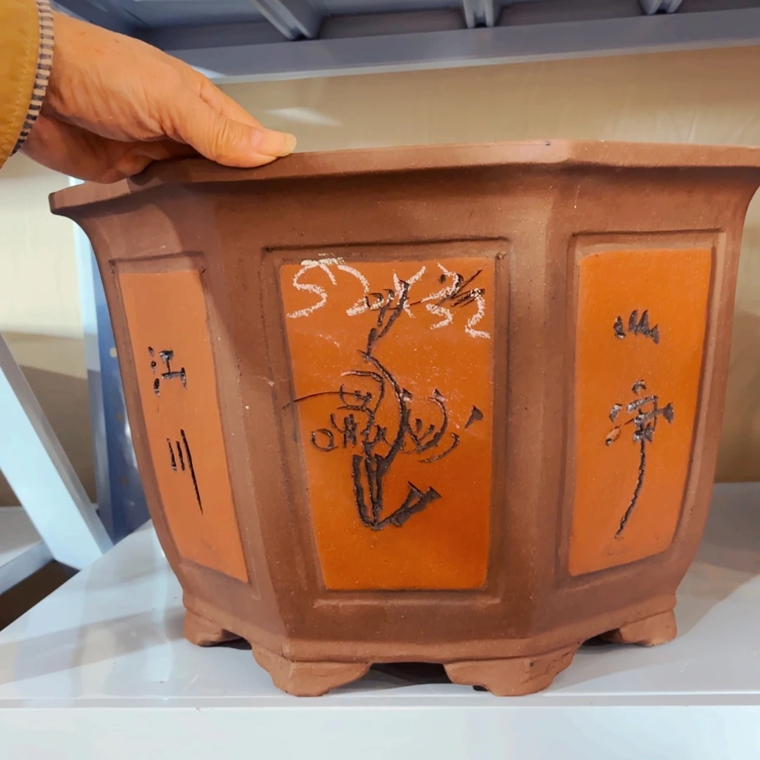 紫砂20CM（含）-50CM（不含）