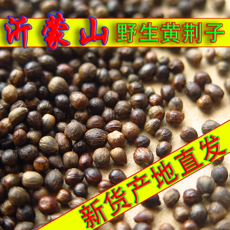 野生黄荆子籽散装10斤黄金子儿童枕头枕芯填充物布惊仁种子硬枕头