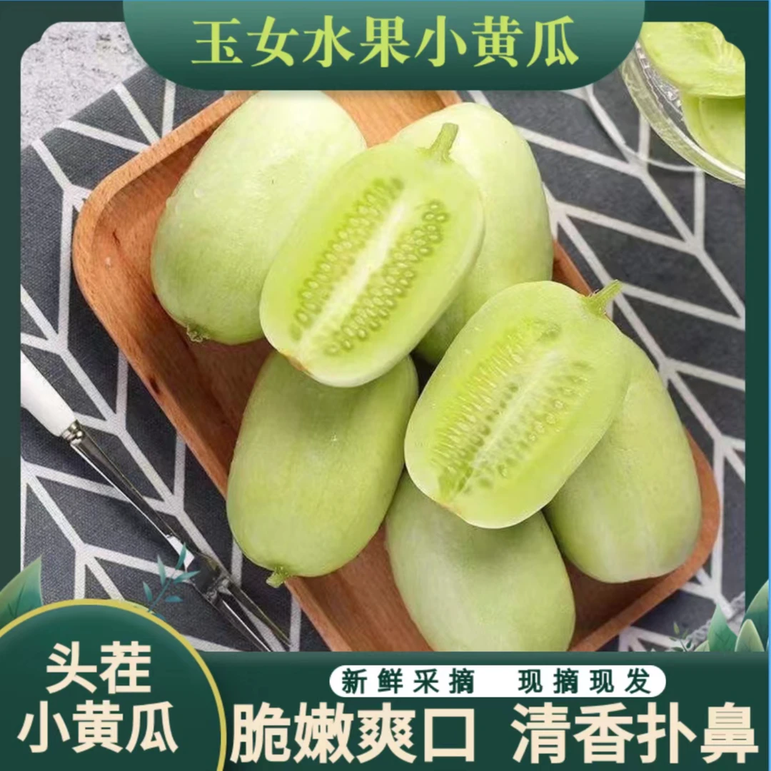 山东玉女小黄瓜新鲜脆嫩爽口水果小黄瓜鲜嫩清香
