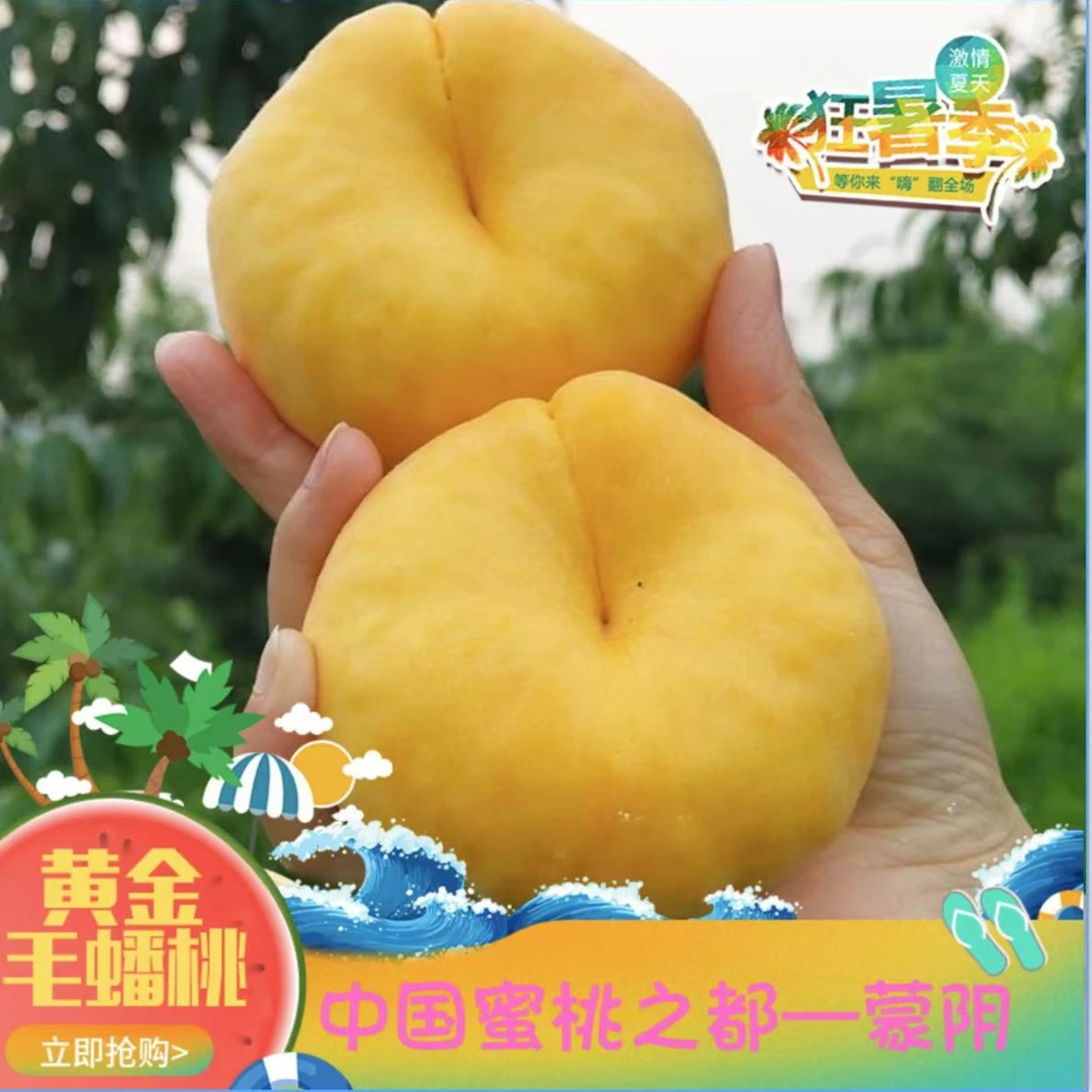 山东蒙阴黄毛蟠桃新鲜蜜桃鲜摘鲜发核小肉多皮薄汁多肉厚