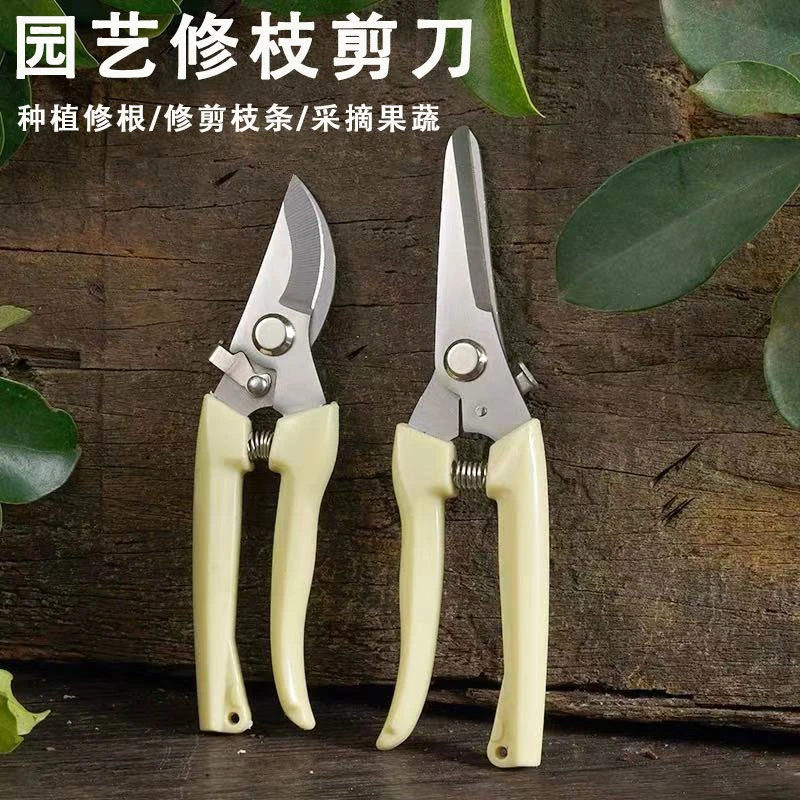 【新店福利】园艺剪刀摘水果树枝修花工具剪刀盆栽修枝剪省力不锈钢