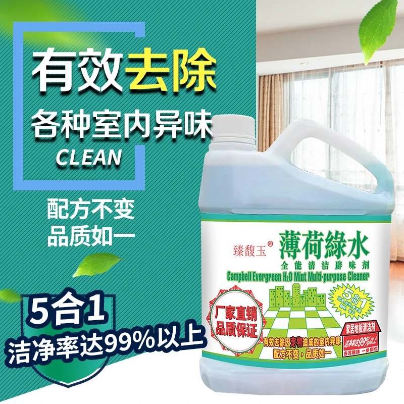 5斤装大桶薄荷绿水多用途清洁剂拖地室内厨房客厅厕所去异味家用
