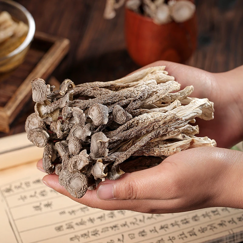 鹿茸菇干货精品古田鹿茸菌菇干货特产煲汤炒菜食材 Q弹爽口