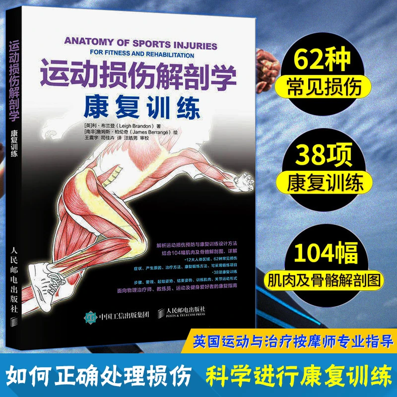 运动损伤解剖学康复训练运动爱好者损伤正确康复训练指导处理书籍