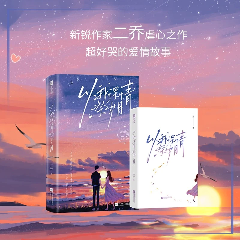 以我深情祭岁月 新锐作家二乔人气意难平之作 好哭的爱情故事