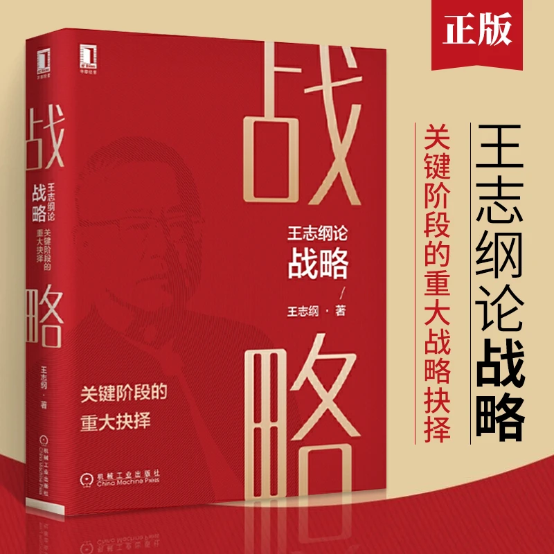 王志纲论战略:关键阶段的重大抉择 大国大民作者 企业管理书籍