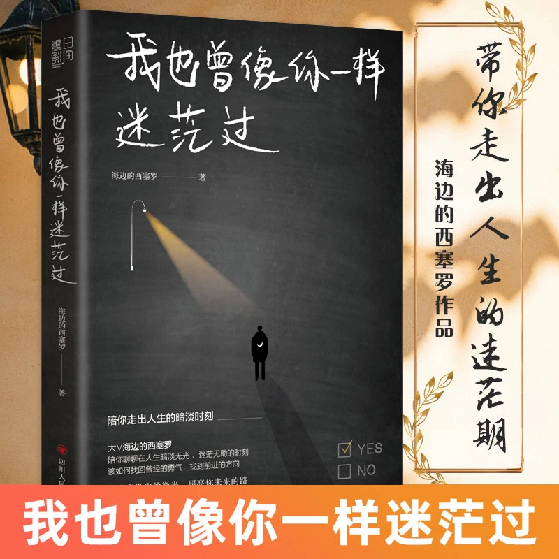 我也曾像你一样迷茫过海边的西塞罗陪你走出人生暗淡时刻励志书籍