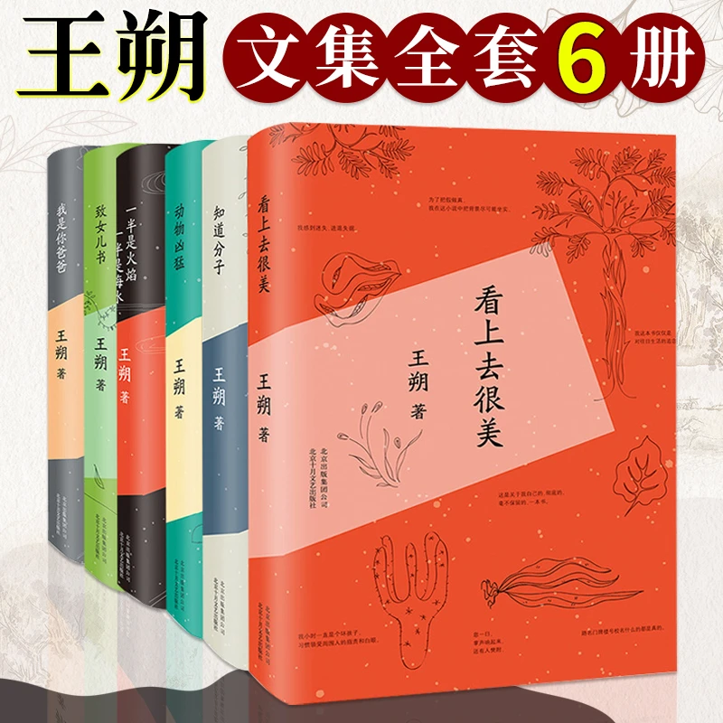 王朔文集6册 看上去很美+我是你爸爸等王朔自选集长篇小说
