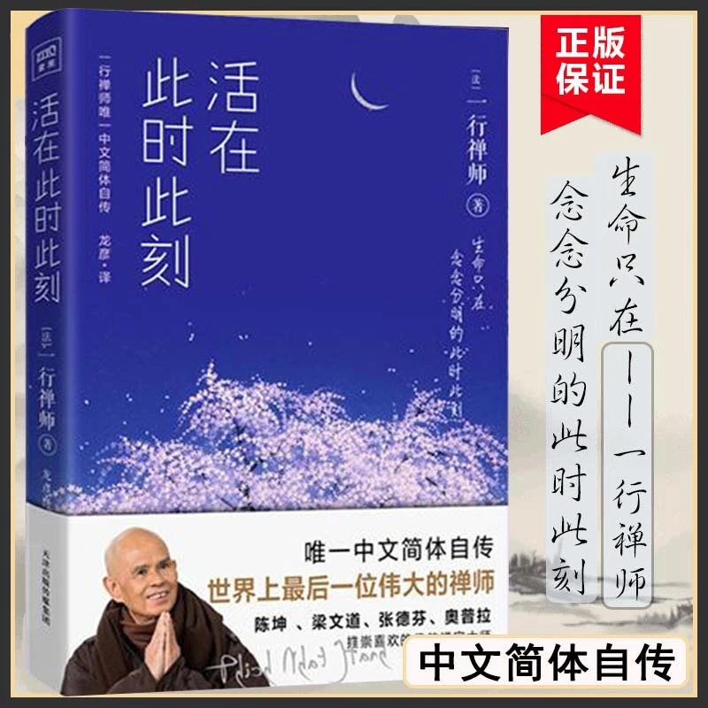 活在此时此刻 一行禅师修行手记 一本教你活出生命意义的灵性之书