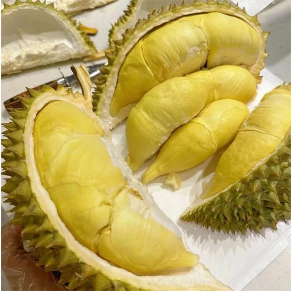胖丫 哈仓发  泰国树熟金枕榴莲  软糯香甜