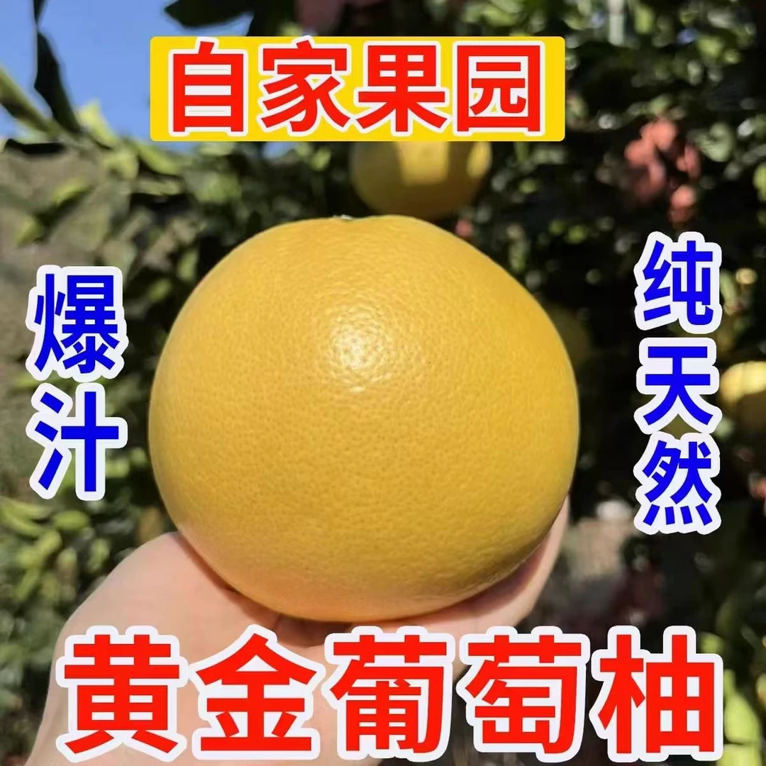 【翡翠黄金柚】翡翠黄金葡萄柚西柚新鲜现摘多汁孕妇水果4/6个4.5斤