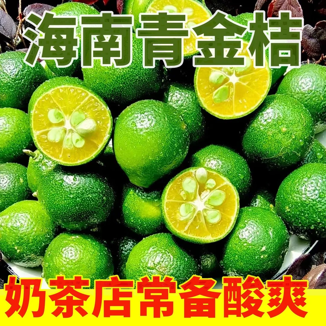 【海南直发】小青桔皮薄多汁奶茶店新鲜水果小青柠檬青金桔香气浓郁