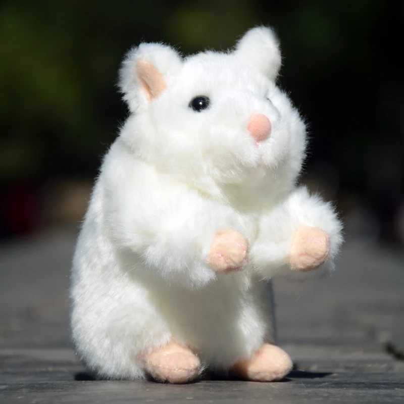 金丝熊长毛金丝熊波利金丝熊卷毛玩偶