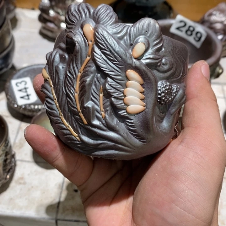 老舅专场，高货乱炸。565