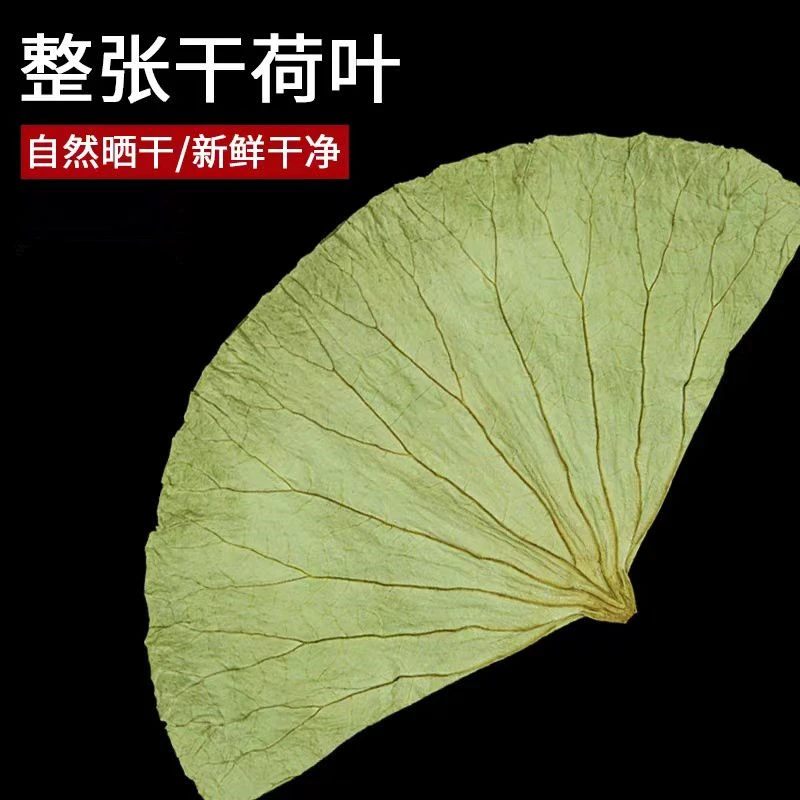 荷叶整张干净 天然干荷叶清香叫花鸡糯米鸡荷叶荷叶片严选