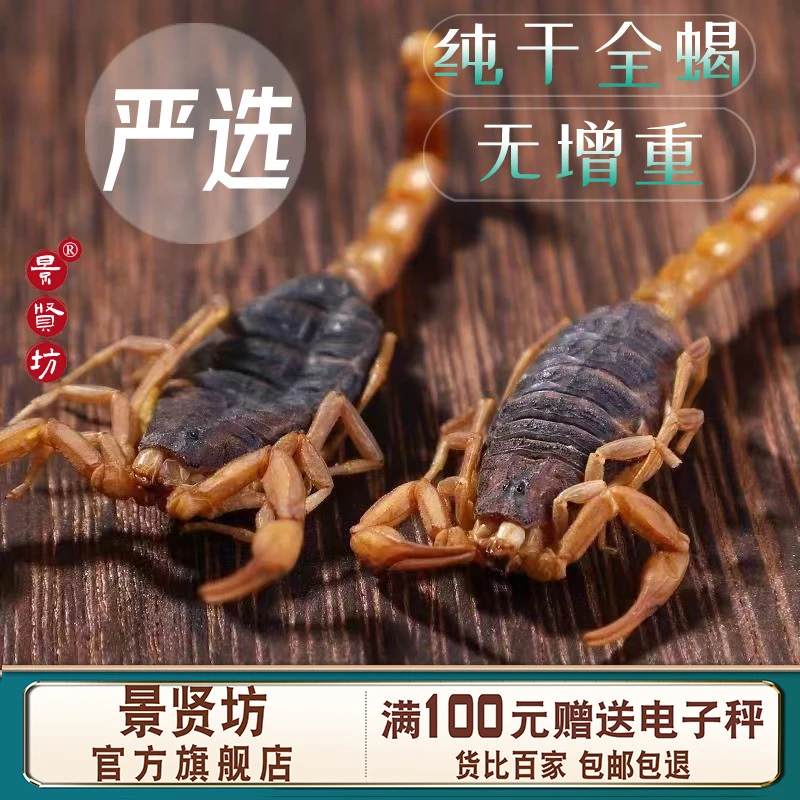 全蝎中药材正品官方旗舰店清水全蝎药用泡酒蝎子十成干货蝎子新货