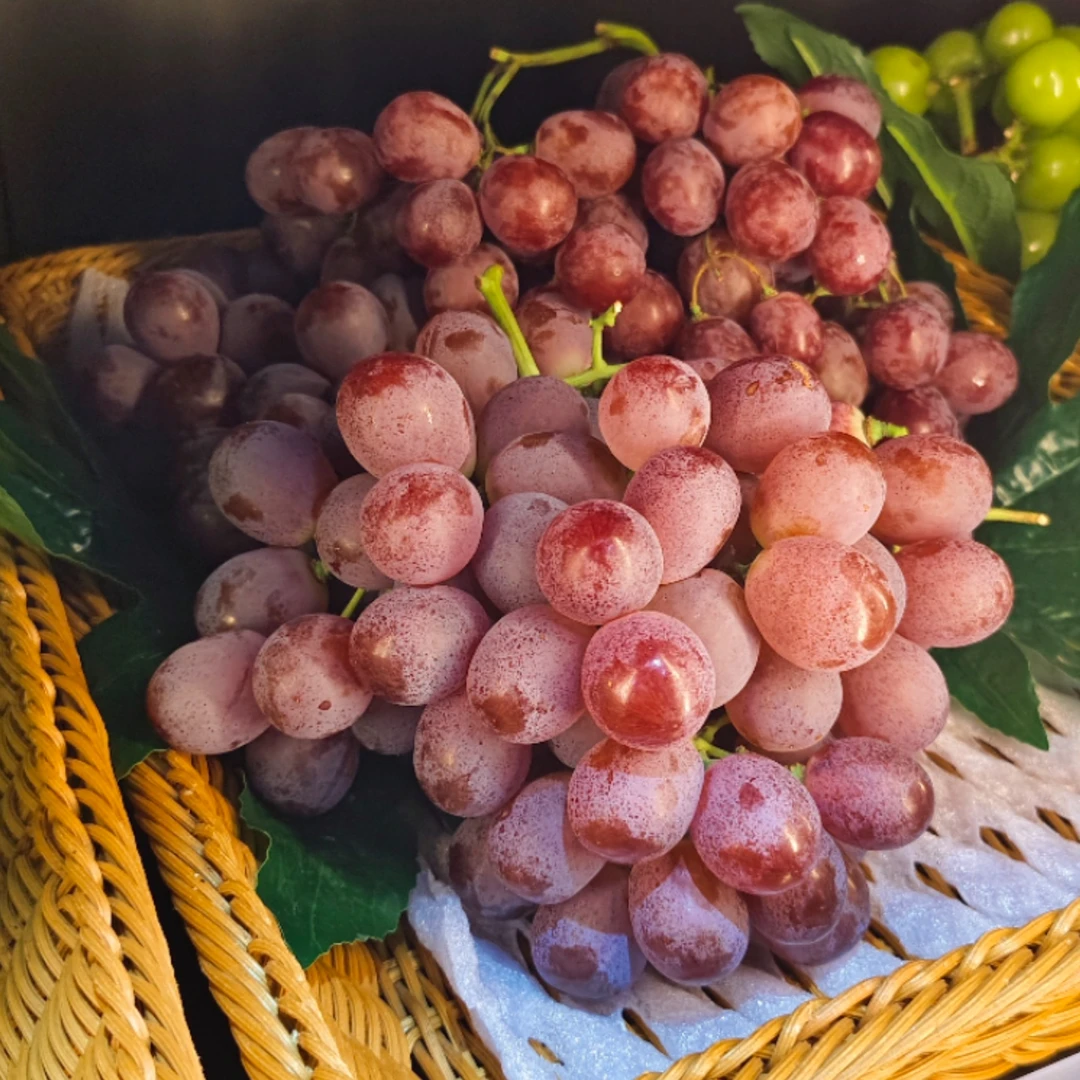 【坤哥粉丝福利】新鲜水果红提