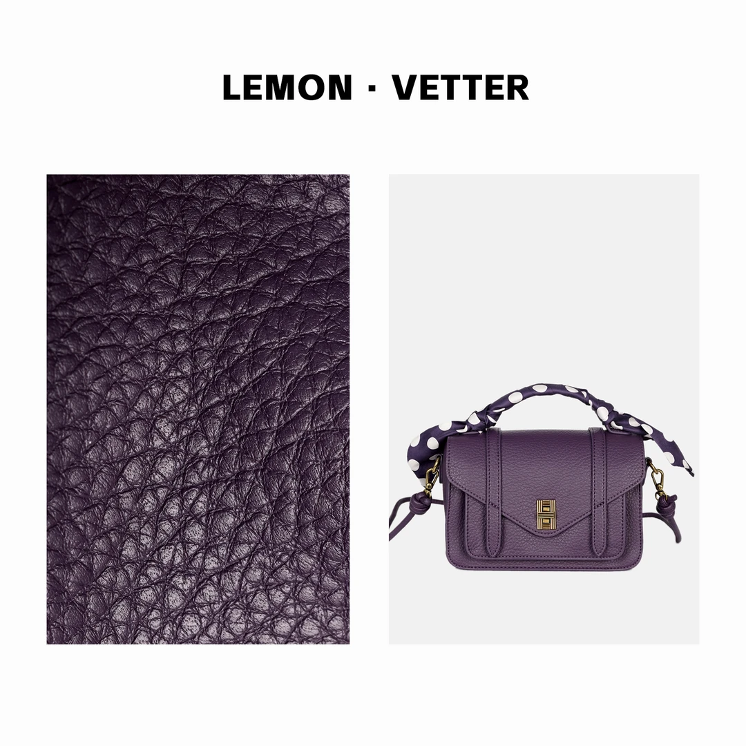 【大周专属】雷蒙威特2023秋冬通勤轻奢时尚百搭手提包ZB024